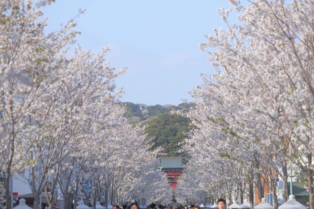 ⛩️ 히로하타 하치만구 이미지 5